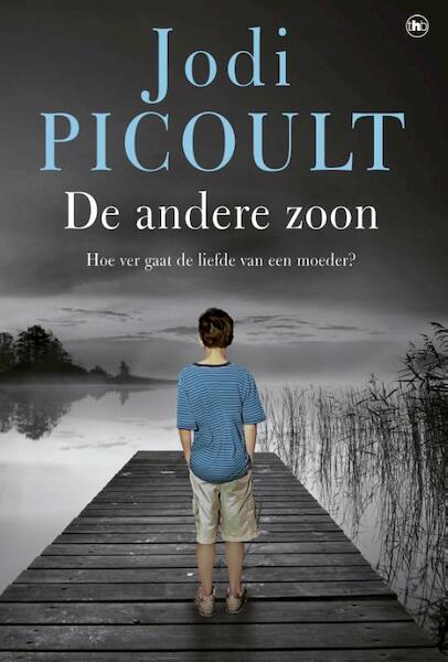 De andere zoon - Jodi Picoult (ISBN 9789044343540)