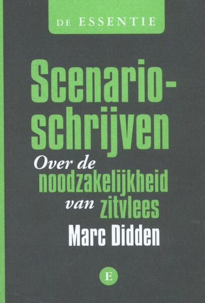 Een scenario schrijven - Marc Didden (ISBN 9789460580840)