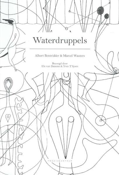 Waterdruppels - Albert Bontridder (ISBN 9789056551056)