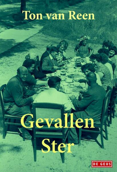Gevallen ster - Ton van Reen (ISBN 9789044533354)