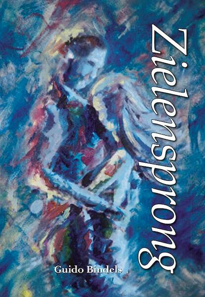 Zielensprong - Guido Bindels (ISBN 9789089546050)