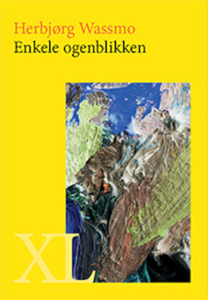 Enkele ogenblikken - Herbjørg Wassmo (ISBN 9789046310731)