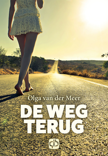 De weg terug - Julia Burgers-Drost (ISBN 9789036437813)