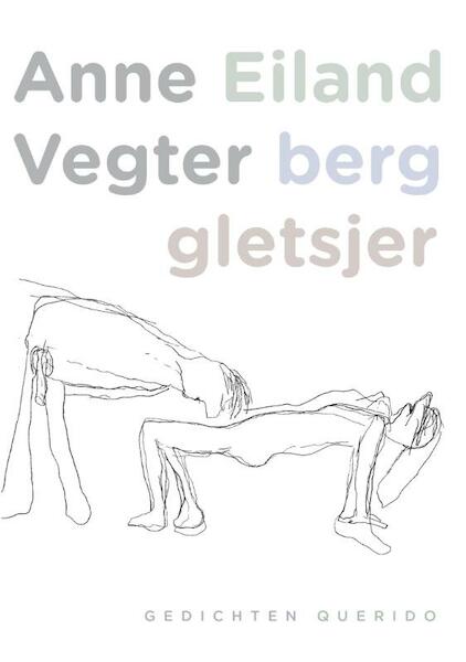 Eiland berg gletsjer - Anne Vegter (ISBN 9789021450803)