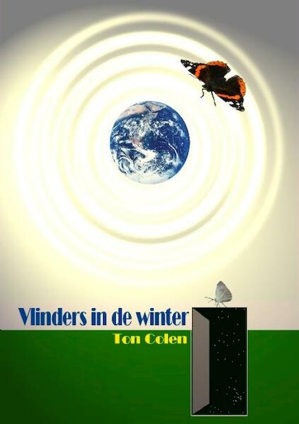 Vlinders in de winter - T. Colen (ISBN 9789081124775)