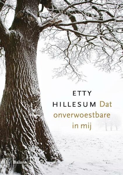 Dat onverwoestbare in mij - Etty Hillesum (ISBN 9789460039454)