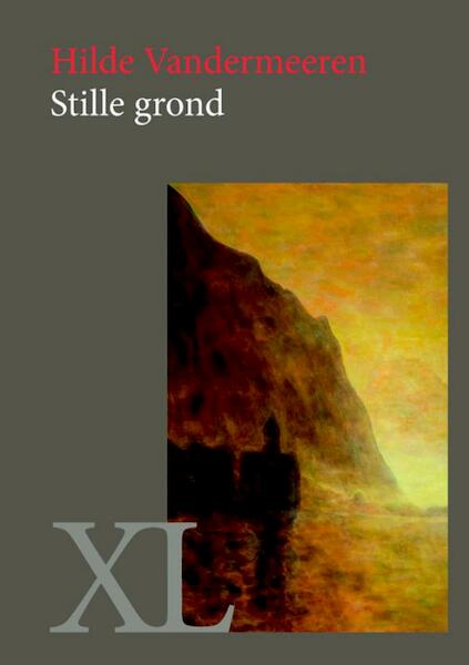 Stille grond - Hilde Vandermeeren (ISBN 9789046311929)