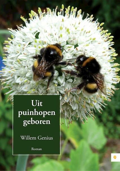 Uit puinhopen geboren - Willem Genius (ISBN 9789048422715)
