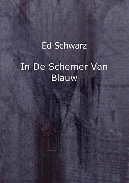 In de schemer van blauw - Ed Schwarz (ISBN 9789461933751)