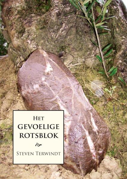 Het gevoelige rotsblok - S. Terwindt (ISBN 9789048404094)