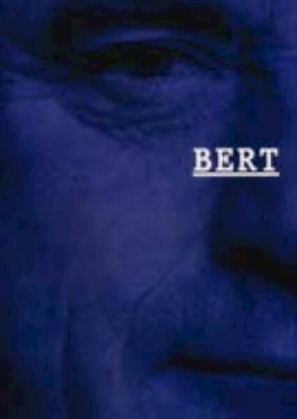 Bert en het beeld - Bert Schierbeek (ISBN 9789023437949)