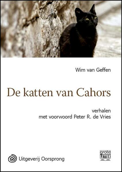De katten van Cahors - Wim Van Geffen (ISBN 9789461011206)