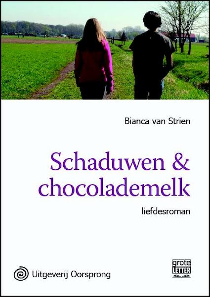 Schaduwen & chocolademelk - grote letter uitgave - Bianca van Strien (ISBN 9789461011480)