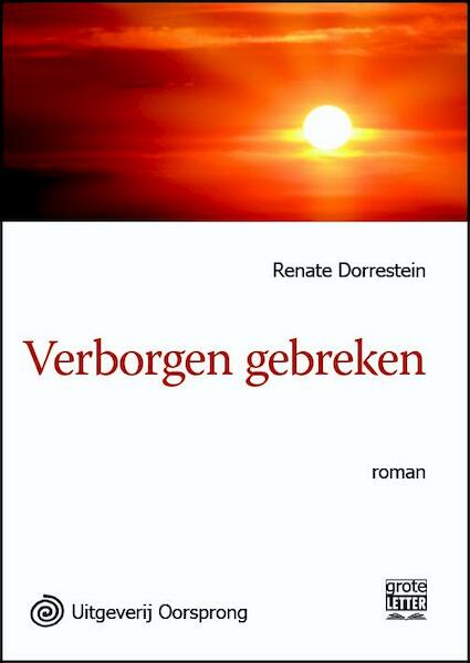 Verborgen gebreken - grote letter uitgave - Renate Dorrestein (ISBN 9789461012067)
