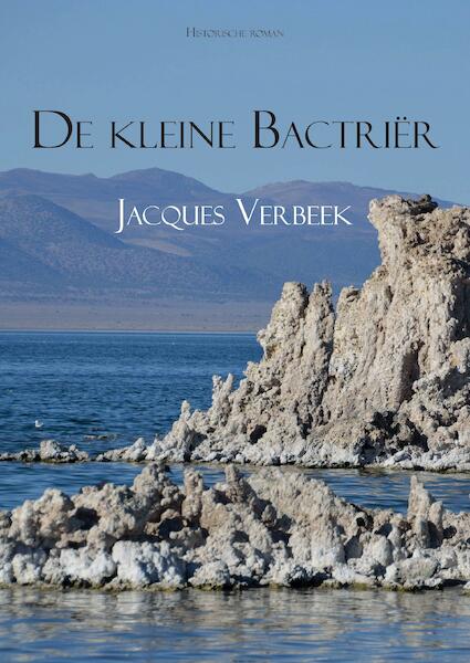 De kleine Bactrier - Jacques Verbeek (ISBN 9789048431892)