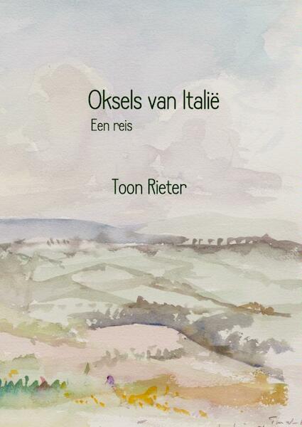 Oksels van Italië - Toon Rieter (ISBN 9789402120769)