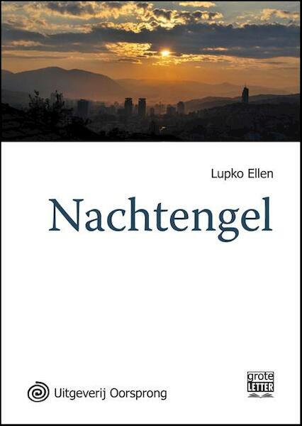 Nachtengel - grote letter uitgave - Lupko Ellen (ISBN 9789461011787)