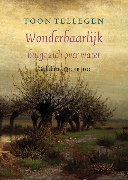 Wonderbaarlijk buigt zich over water - Toon Tellegen (ISBN 9789021403571)