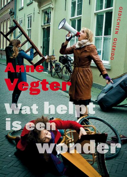 Wat helpt is een wonder - Anne Vegter (ISBN 9789021404400)