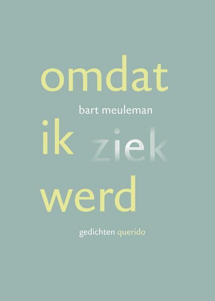 Omdat ik ziek werd - B. Meuleman, Bart Meuleman (ISBN 9789021434575)