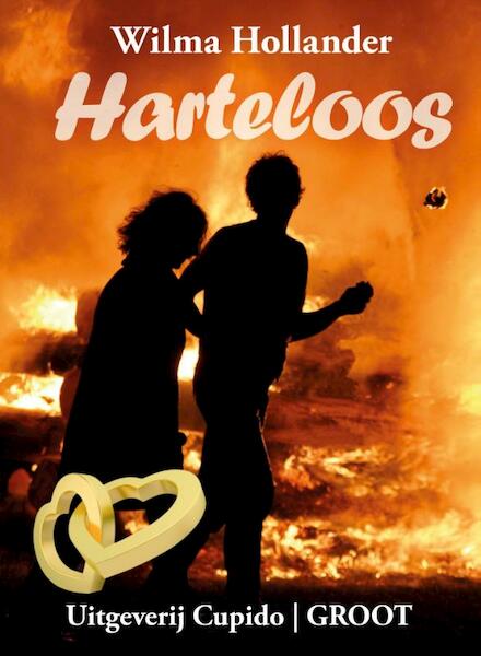 Harteloos - Wilma Hollander (ISBN 9789490763947)