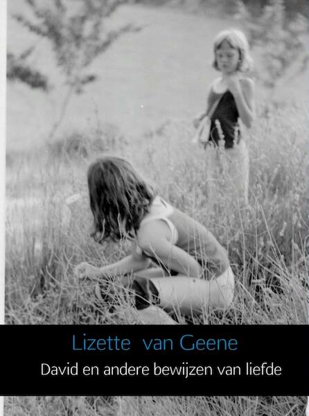 David en andere bewijzen van liefde - Lizette van Geene (ISBN 9789402112283)