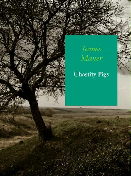 Chastity pigs - James Mayer (ISBN 9789402145618)