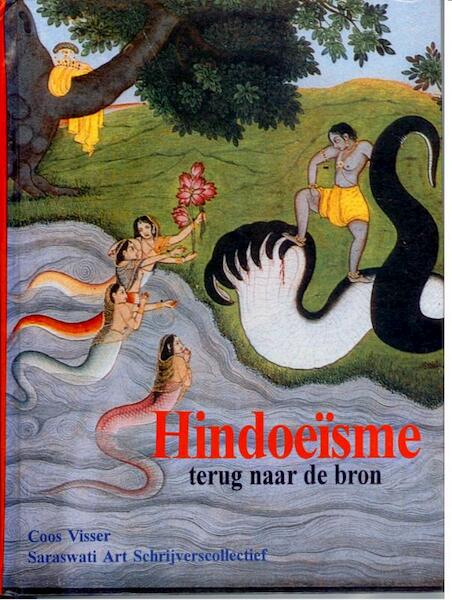 Hindoeisme - Coos Visser (ISBN 9789076389028)