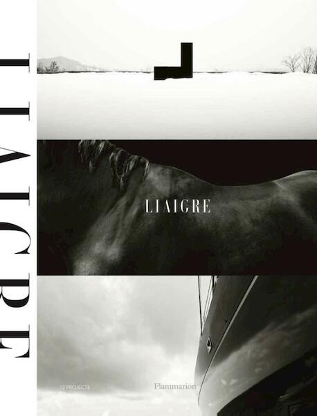 Liaigre: 12 Projects - Christian Liaigre (ISBN 9782080201874)