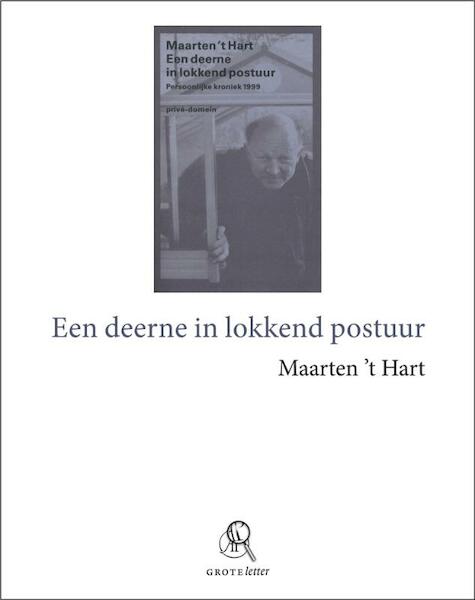 Een deerne in lokkend postuur (grote letter) - Maarten 't Hart (ISBN 9789029578813)