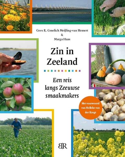 Zin in Zeeland - G.R. Gmelich Meijling-van Hemert, M. Haas (ISBN 9789079875269)