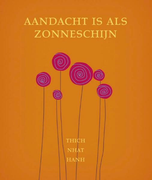 Aandacht is als zonneschijn - Thich Nhat Hanh (ISBN 9789025902131)