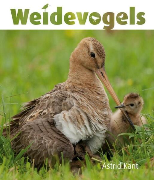 Weidevogels - Astrid Kant (ISBN 9789087400804)