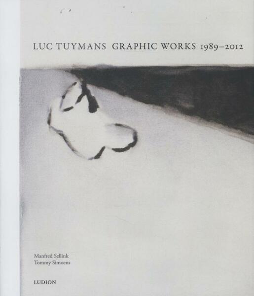 Luc Tuymans - Manfred Sellink, Tommy Simoens (ISBN 9789461300515)