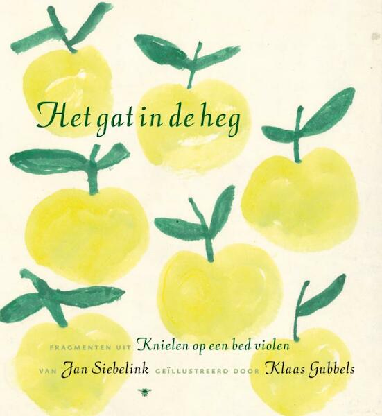Het gat in de heg - Jan Siebelink (ISBN 9789023427100)