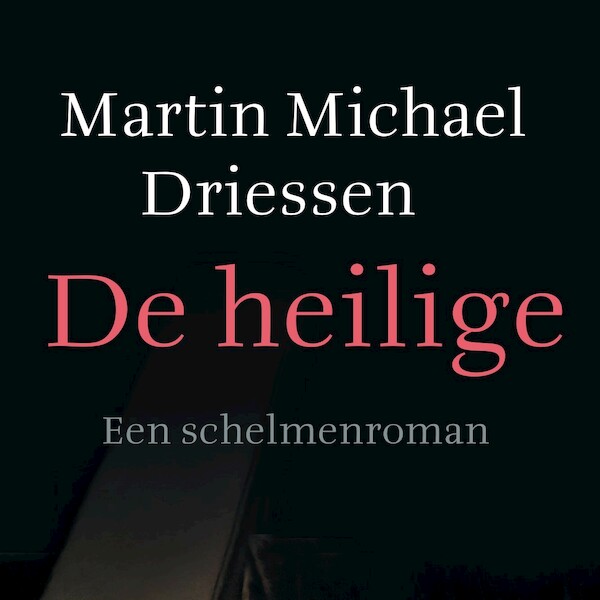 De heilige - Martin Michael Driessen (ISBN 9789028270879)