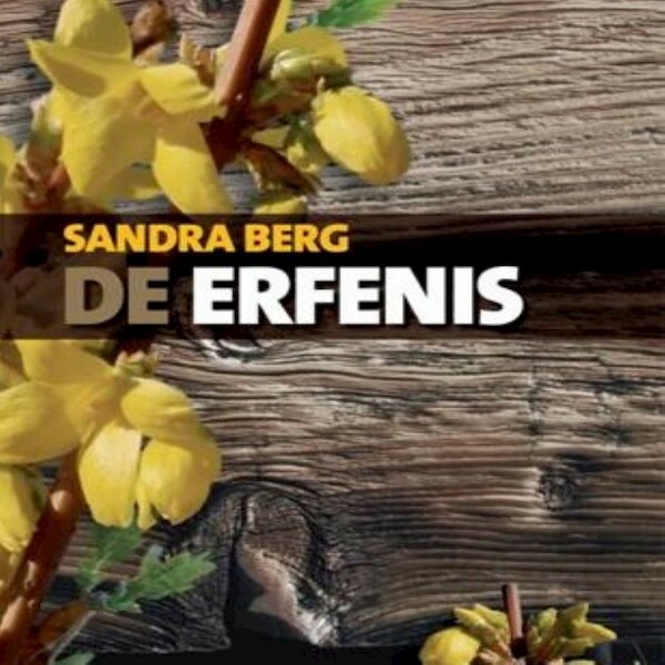 De erfenis - Sandra Berg (ISBN 9789462175785)