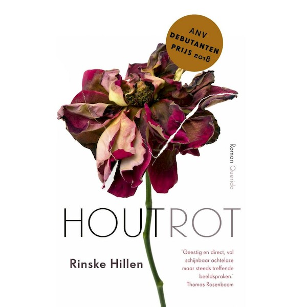 Houtrot - Rinske Hillen (ISBN 9789021488592)