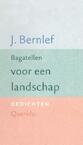 Bagatellen voor een landschap (e-Book) - J. Bernlef (ISBN 9789021448251)