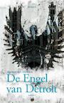 De engel van Detroit (e-Book) - Ap van der Meulen (ISBN 9789463380911)
