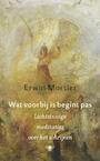 Wat voorbij is begint pas (e-Book) - Erwin Mortier (ISBN 9789023442806)