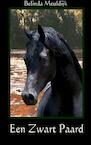 Een zwart paard (e-Book) - Belinda Meuldijk (ISBN 9789402102093)