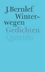Winterwegen (e-Book) - J. Bernlef (ISBN 9789021448435)