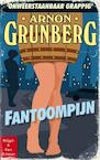 Fantoompijn (e-Book) - Arnon Grunberg (ISBN 9789038800516)