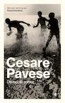 De mooie zomer (e-Book) - Cesare Pavese (ISBN 9789023493600)