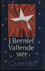 Vallende ster (e-Book) - J. Bernlef (ISBN 9789021443584)